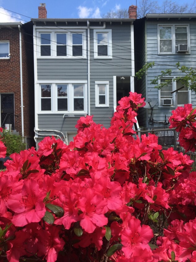 Primary Photo - 524 Decatur St NW