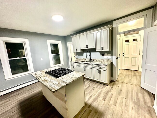Renovated Kitchen - 258 Burritt St