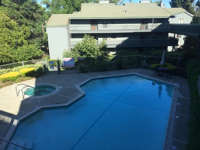 Another view of pool. Ground floor apartment (in background) - 1600 San Miguel Dr