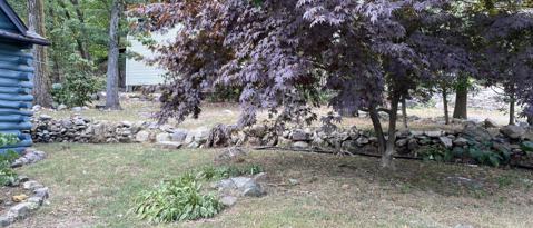 Foto del edificio - 11 Deer Path