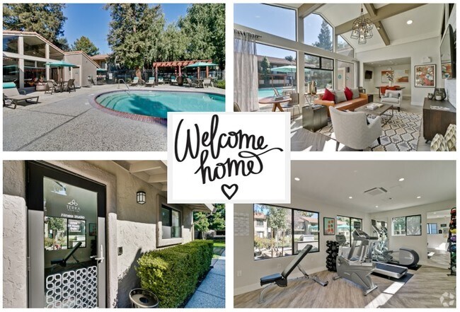 Apartments For Rent Near San Jose State University Ca Apartments For Rent Near San Jose State University Ca