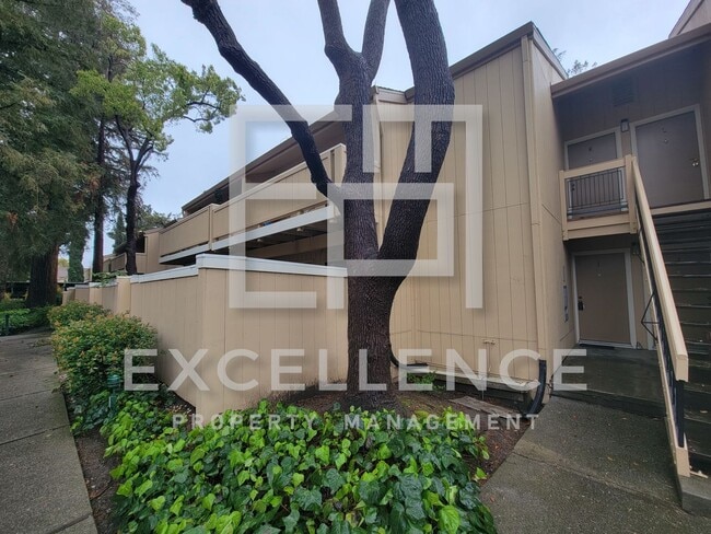 2/1 With Private Patio, AC, Updated Kitche... - 2/1 With Private Patio, AC, Updated Kitche... Apartment