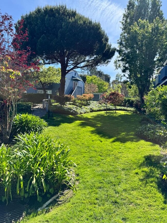 Foto del edificio - 1126 Cherry Ave