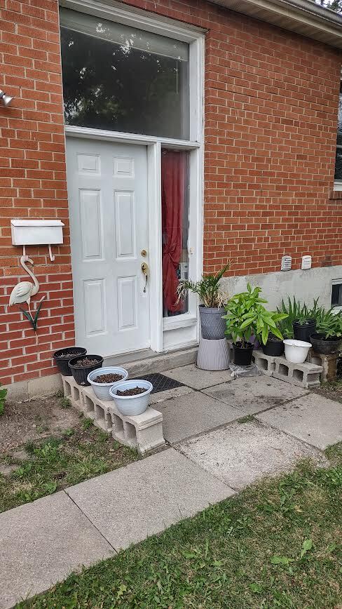 Photo du bâtiment - 355 Blue Grass Blvd