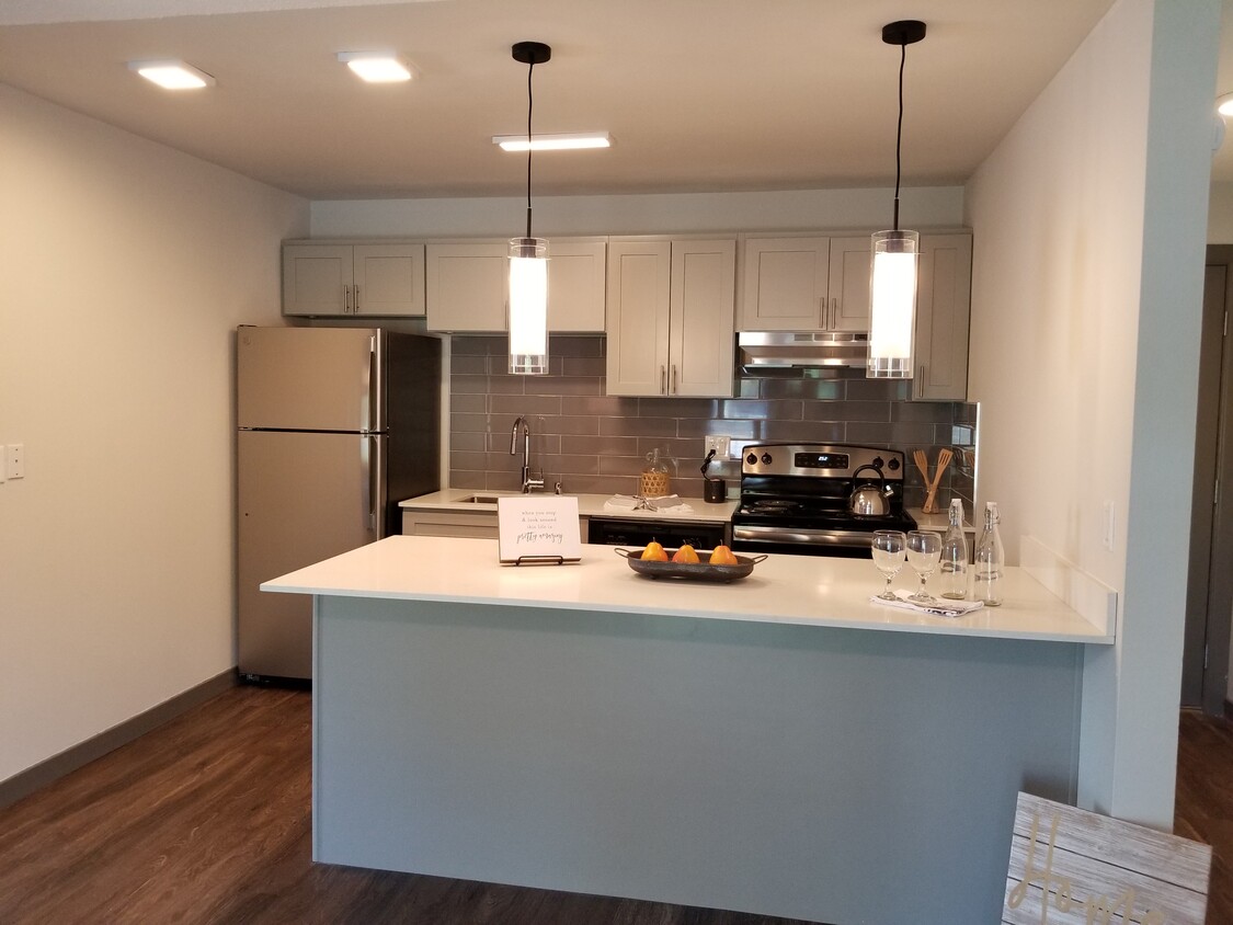 Beautifully Renovated #10-101 - Windsor Park Apartments