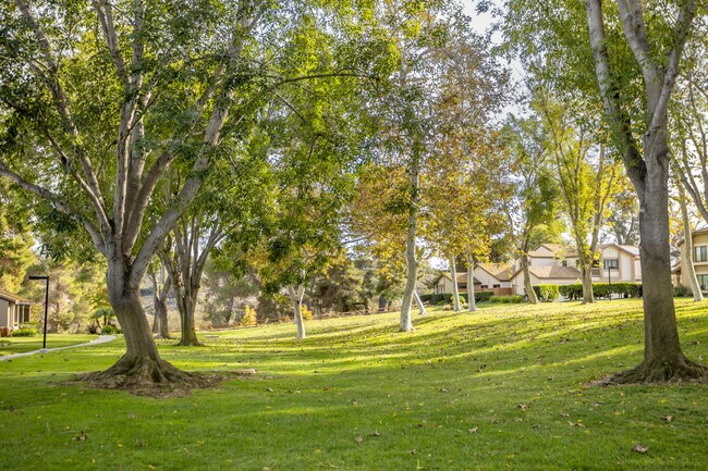 Foto del edificio - 5244 Edge Park Way