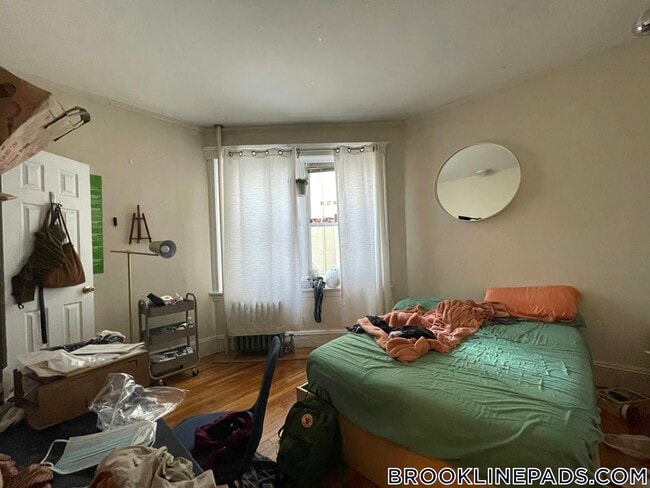 Building Photo - 62 Egmont St