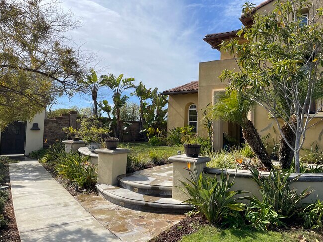 Front Yard - 33761 Paseo Del Puerto