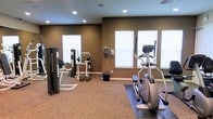 This fitness room offers a functional and organized workout environment designed to support a range of exercise routines. The space is finished with warm brown walls and carpeted flooring, creating a comfortable atmosphere suited for both strength training and cardiovascular activity. Recessed ceiling lighting provides consistent illumination throughout the room, while multiple windows along the walls allow natural light to fill the space, enhancing the overall environment.

The strength training area features Hoist-brand equipment, including a multi-functional cable machine and a weight bench setup, accompanied by a set of free weights and dumbbells neatly arranged nearby. A wall-mounted panel, likely a thermostat or control unit, is also present, ensuring comfort during workouts. On the cardio side, an elliptical trainer is positioned on a protective floor mat, offering a low-impact aerobic option. The layout is thoughtfully arranged to maximize usable floor space while keeping equipment accessible. Overall, this fitness room provides a clean, practical setting for residents or guests to maintain an active lifestyle.