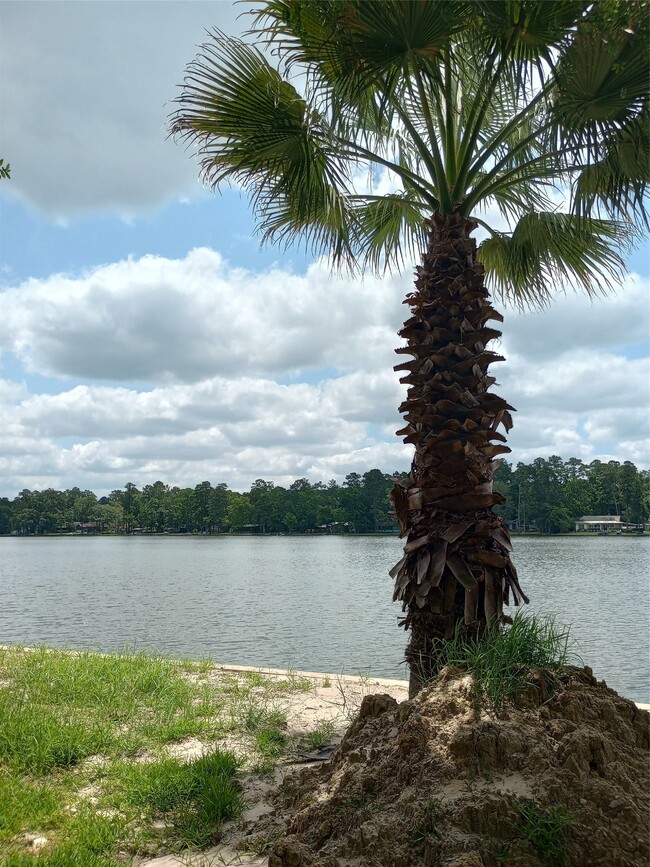 Building Photo - 13545 Northshore Loop