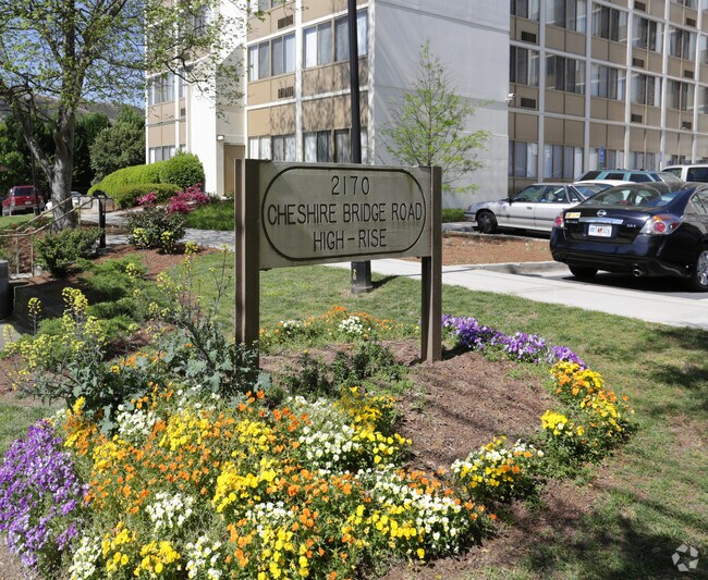 Cheshire Bridge Highrise Rentals Atlanta, GA