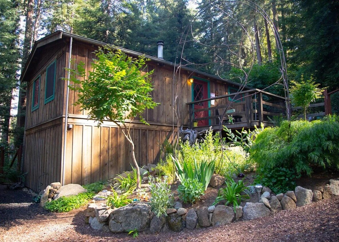 Primary Photo - Charming 1BR House in Boulder Creek