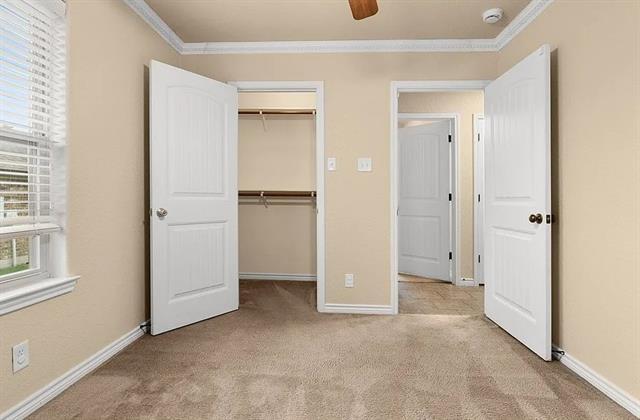 Building Photo - 205 E Little Dipper Dr