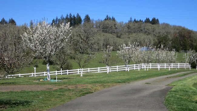 Foto del edificio - 1338 Green Valley Rd