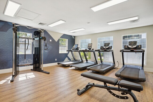 GIMNASIO DE ÚLTIMA GENERACIÓN | HUECO DE PESTÓN - Preston Hollow