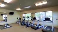 This fitness room offers a practical and functional workout environment designed to support cardiovascular exercise. The space is outfitted with a selection of cardio equipment, including treadmills, elliptical trainers, and a stationary bike, all arranged to allow comfortable use and movement between machines. Neutral-toned walls and carpeted flooring contribute to a clean, understated aesthetic throughout the room. Overhead fluorescent lighting ensures consistent illumination across the entire area, supplemented by natural light that filters in through multiple windows fitted with horizontal blinds. The windows overlook greenery outside, adding a pleasant visual element during workouts. A wall-mounted flat-screen television is positioned at one end of the room, providing entertainment options for users during exercise sessions. The ceiling-mounted HVAC vents suggest climate control for year-round comfort. The layout is straightforward and uncluttered, making it easy to navigate between equipment. Overall, this fitness room provides a focused and practical environment suited for regular cardiovascular training.