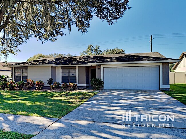 Building Photo - 3004 Annadale Circle Brandon FL
