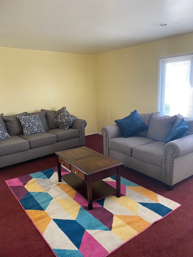 Living room with new couch and carpet - 183 Litchfield Ave