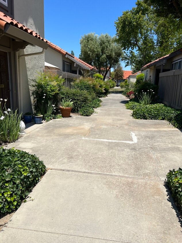 Primary Photo - 1515 Calle Enrique