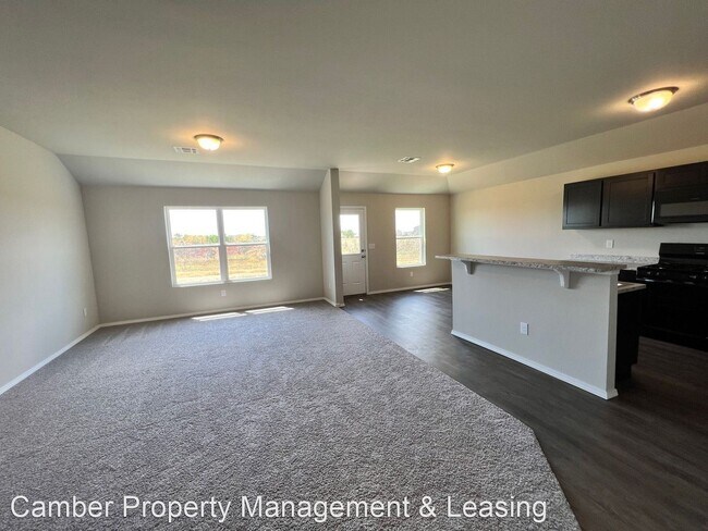 Building Photo - 4 br, 2 bath House - 4205 Siena Ridge Boul...
