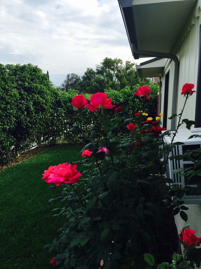 Foto del edificio - 267 N Florence St