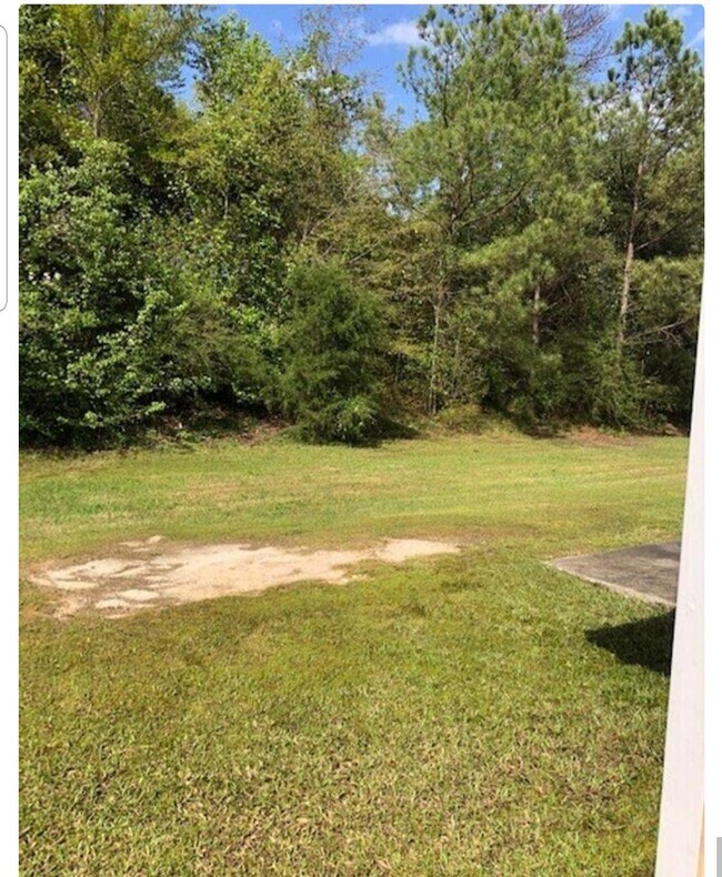 Building Photo - 5513 Ambervista Ct