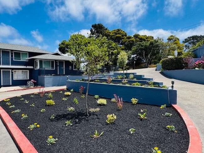 Building Photo - Upstairs beautifully renovated 1 bedroom 1 bath in the Monterey Sunbelt