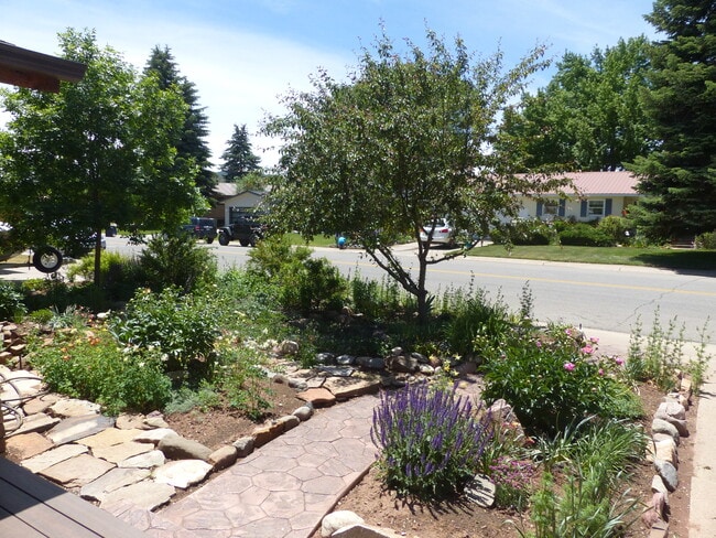 Front walk - 2708 Mesa Avenue