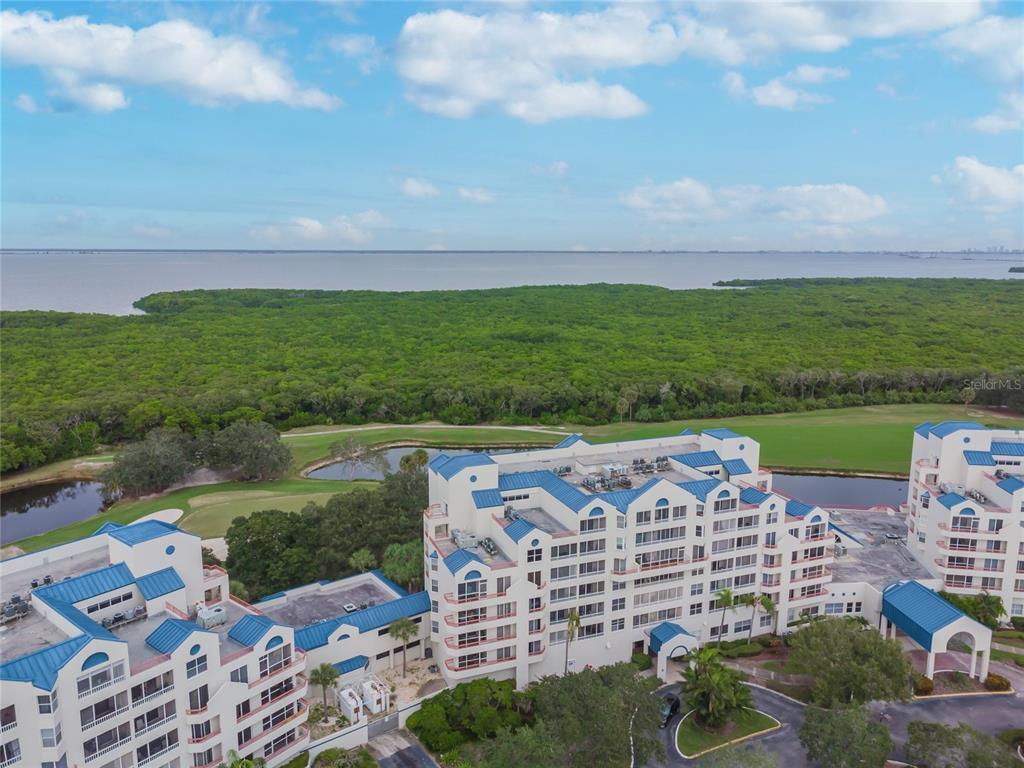 Foto principal - 2333 Feather Sound Dr
