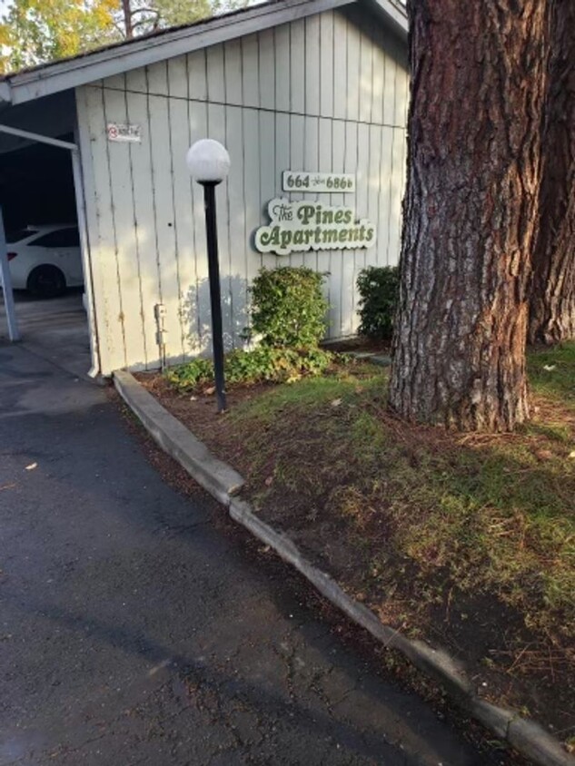 Foto principal - ro664WestAvenue (The Pines)