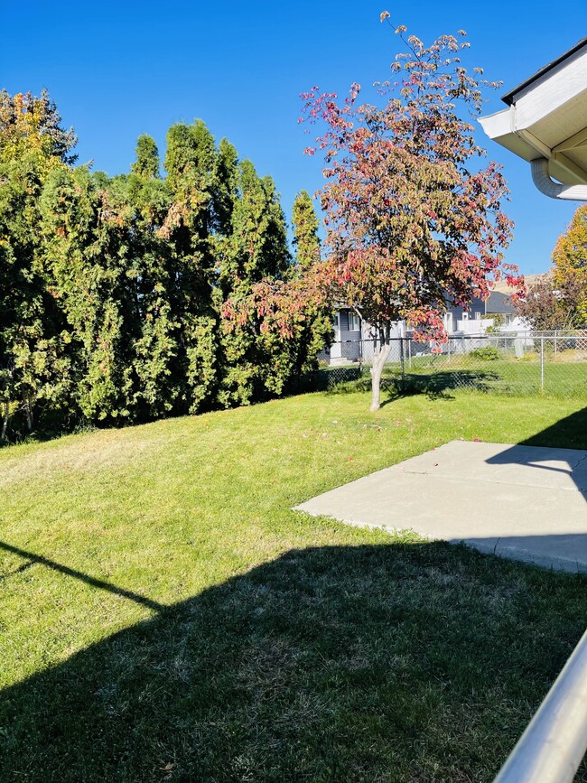 Back yard - 906 N 34th Ave