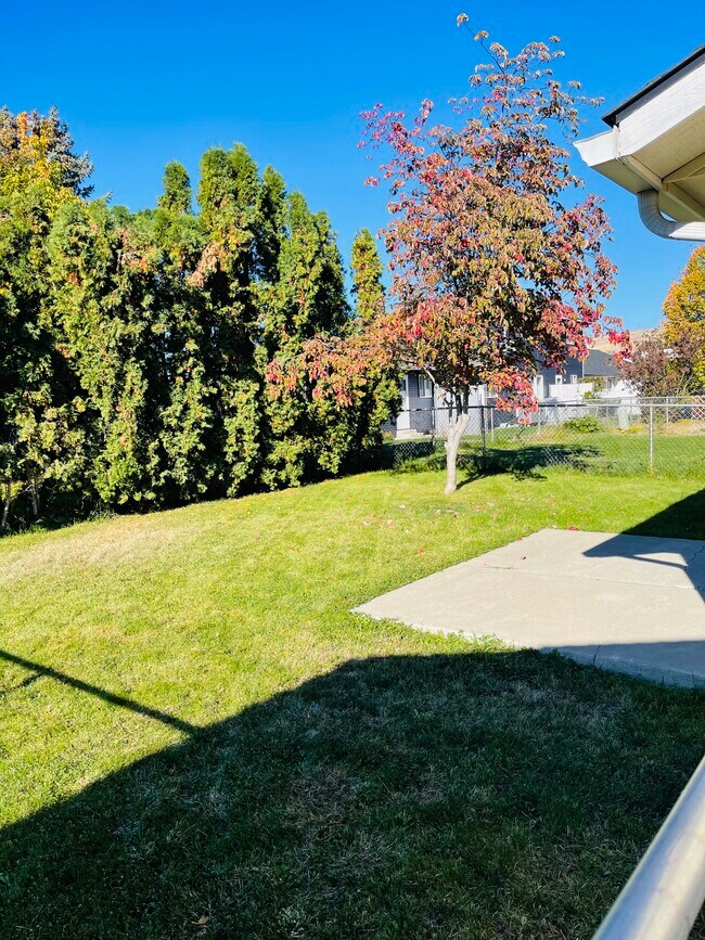 patio trasero - 906 N 34th Ave