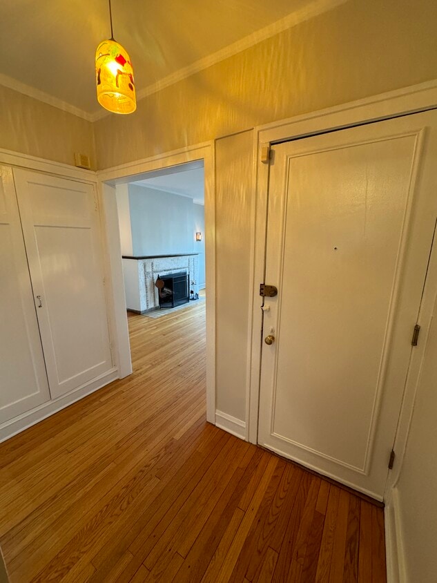 908 Dempster St Unit 1, Evanston, IL 60202 Condo for Rent in Evanston