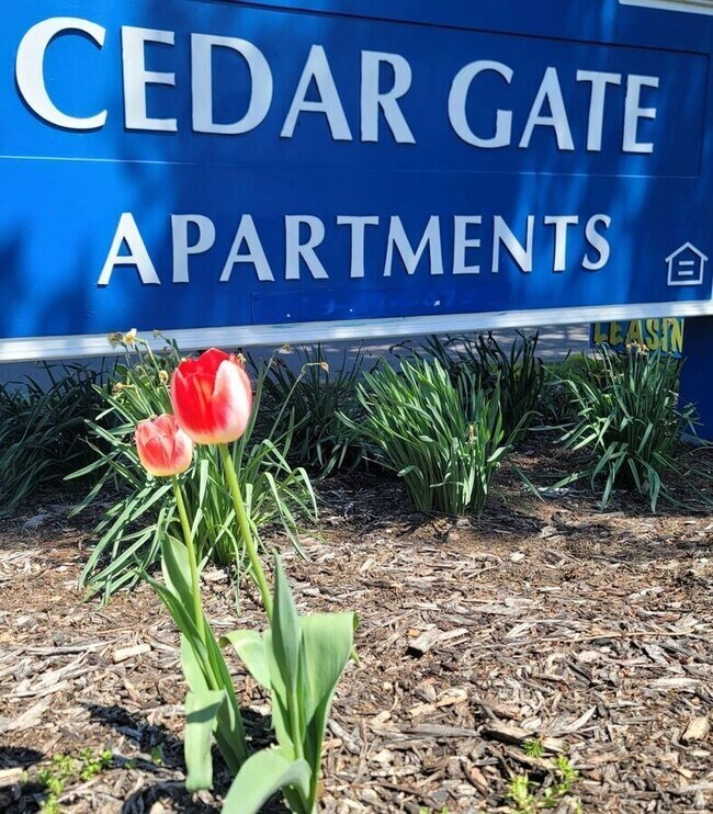Foto del edificio - 223 Cedar Gate Ct