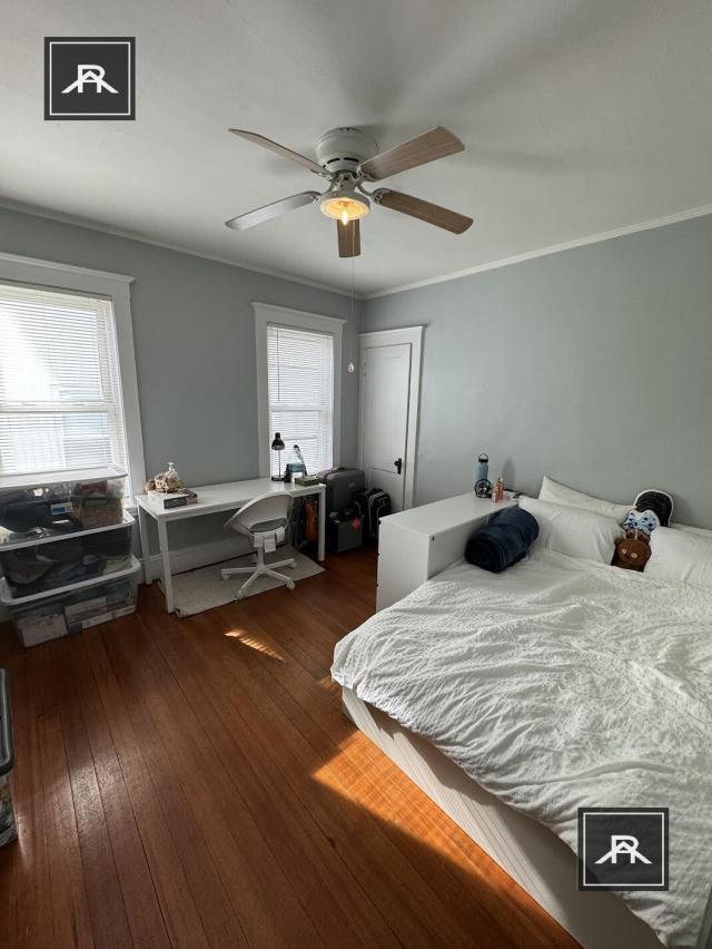Building Photo - 3 bedroom in Brighton MA 02135