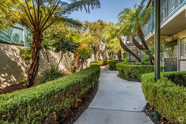 Alternate - Evergreen Pine