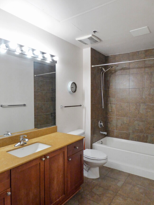 Bathroom - 1550 S Blue Island Ave