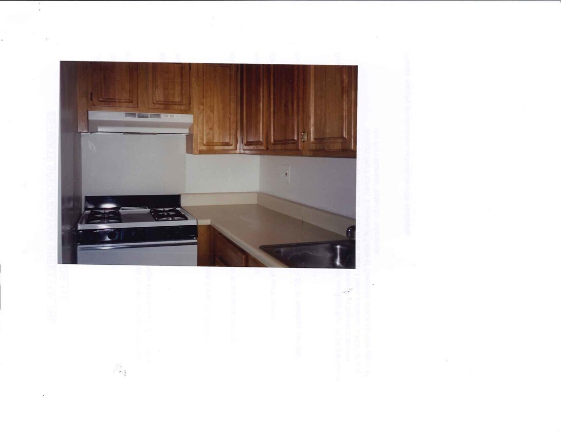 kitchen - 596 St Mary's St