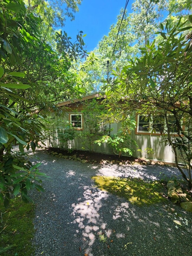 Building Photo - Black Mountain Cottage!