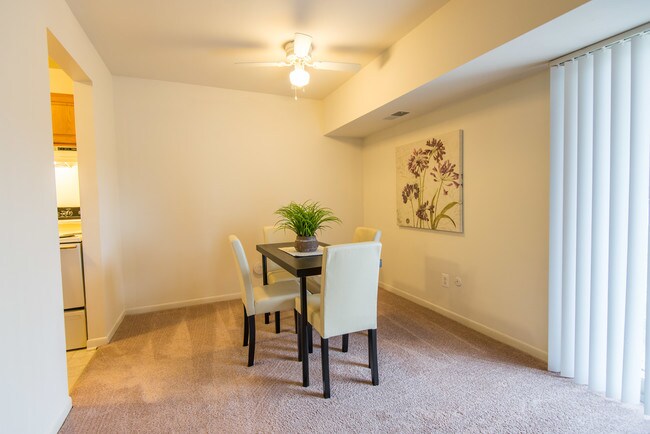 Comedor | 7'3" x 9'6" - Spruce Knob