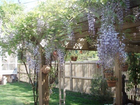 Photo - Sunny 3 BR / 2 BA Beautiful Home in Museum...