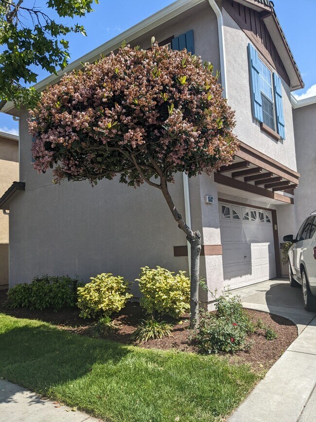 Foto del edificio - 1582 Sawgrass Dr