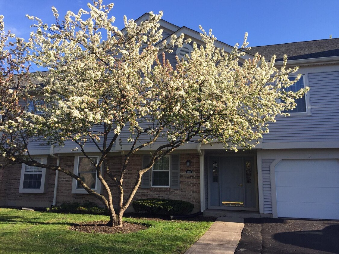 1238 Ballantrae Pl Unit D, Mundelein, IL 60060 Condo for Rent in
