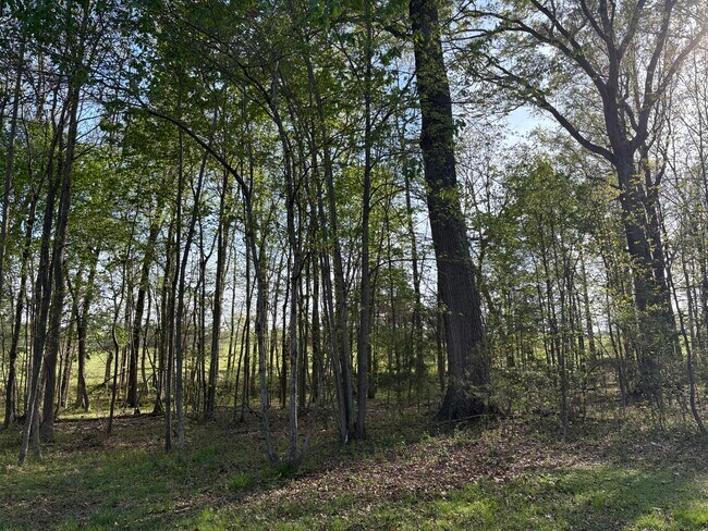 Foto del edificio - 17870 Broad Meadow Dr