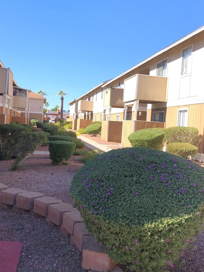 Building Photo - Tropicana Village Apartments