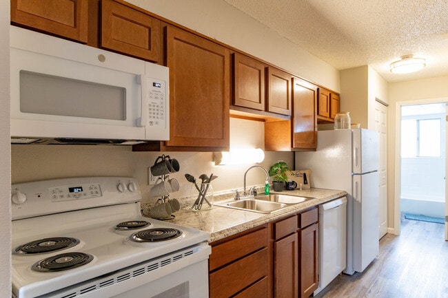 1 BR, 1 BA - Kitchen - Sage Creek Apartments