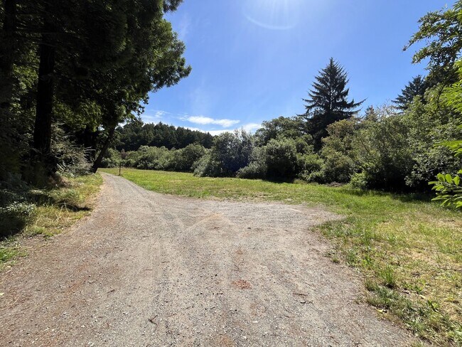 Foto del edificio - Pet-Friendly Private Home On Large Lot With Detached Garage!