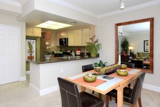 Summit at Warner Center photo'