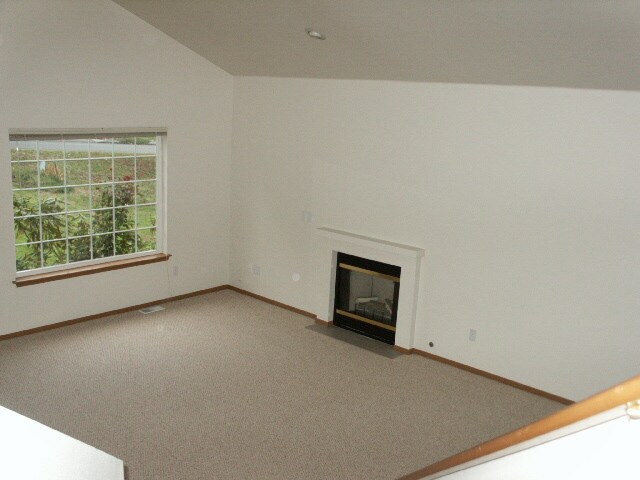 Living Room Fireplace - 715 Shannon St