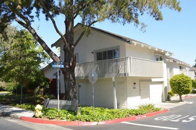 Foto del edificio - 20363 Northcove Sq Cupertino CA 95014
